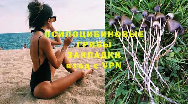 2c-b Няндома