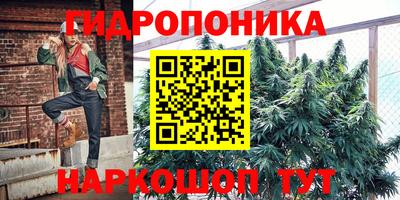 сатива Балаково