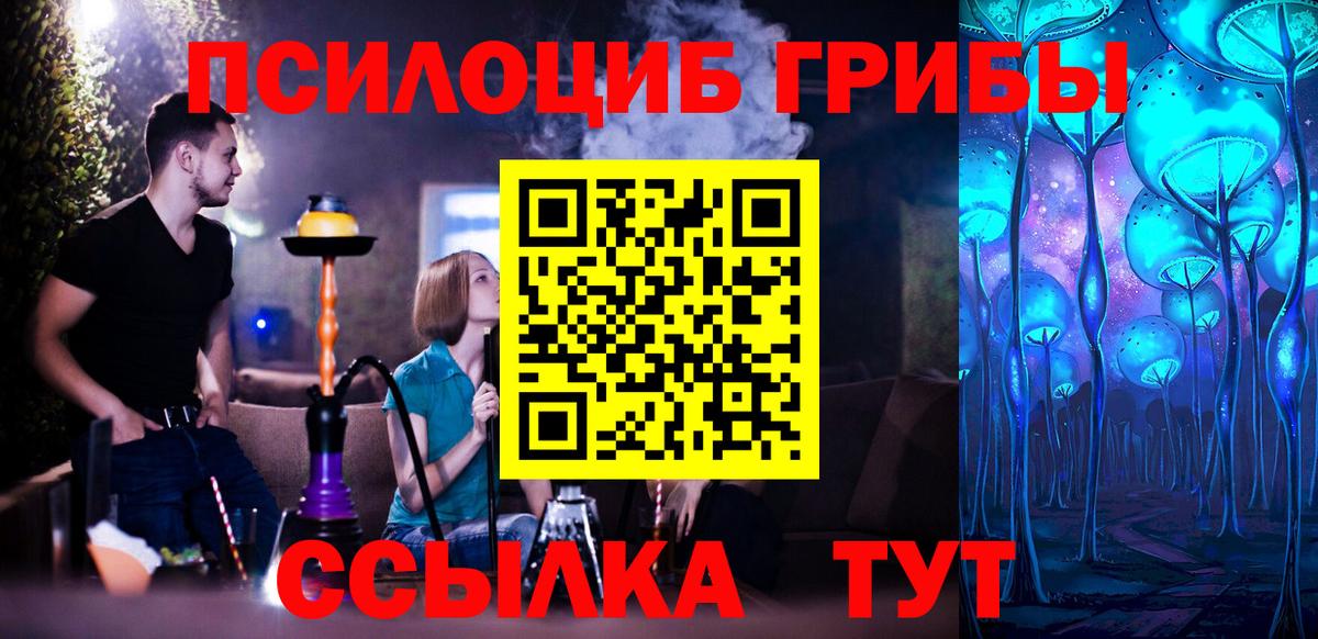 Псилоцибиновые грибы Psilocybe  Ногинск 