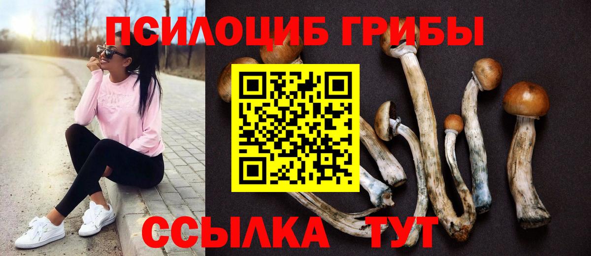 Псилоцибиновые грибы ЛСД Ногинск