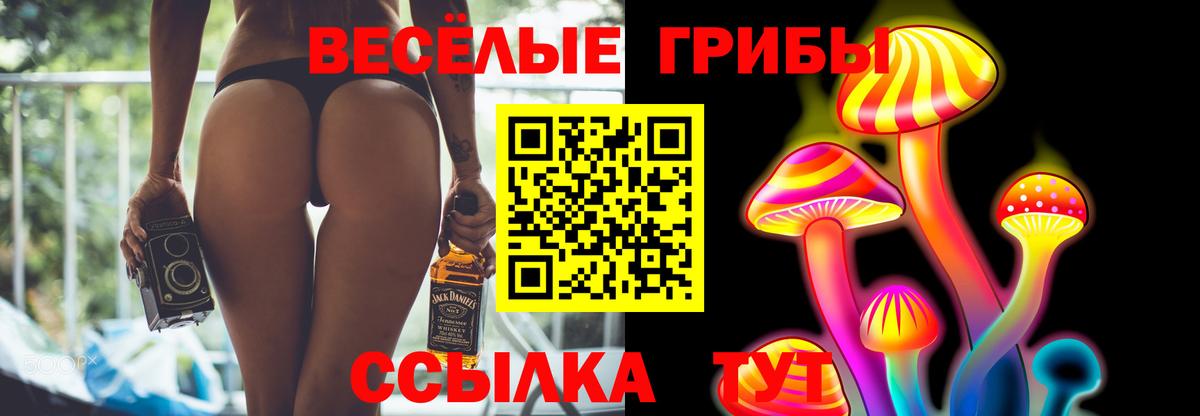 Галлюциногенные грибы Magic Shrooms  Галлюциногенные грибы Cubensis  Вход с VPN  Ногинск 