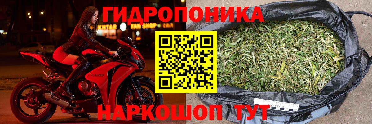 Бошки Шишки семена  Вход с VPN  МАРИХУАНА индика  Каннабис конопля  Каннабис семена  Ногинск 